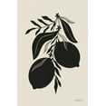 thumbnail image 2 of Thorns, Becky 13x18 White Modern Wood Framed Museum Art Print Titled - Lemon Silhouette II, 2 of 4