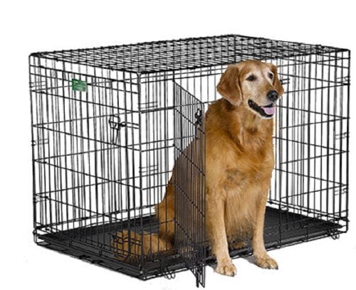 MidWest iCrate Folding Metal Dog Crate 