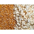 thumbnail image 2 of Snow Puff Popcorn Seeds to Grow 25 Seeds, 2 of 3