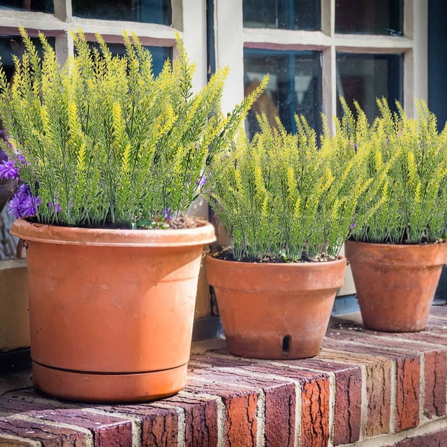10 Flores Artificiales de Lavanda, Ramos de Plástico de 38 Cm de Largo para Bodas, Hogar, Jardín, Decoración Interior y Exterior, Color Morado.