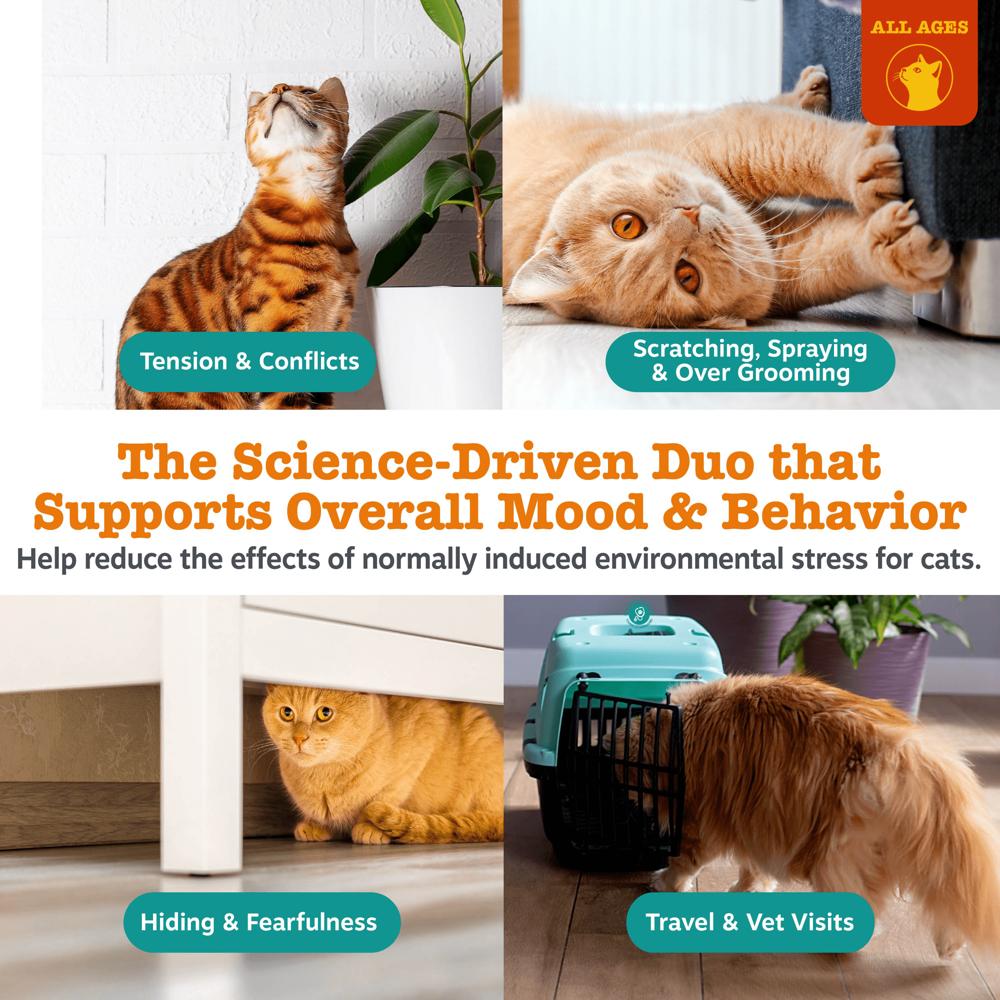 (6 pack) Zesty Paws Cat Calming Diffuser - Starter Kit
