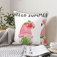 thumbnail image 6 of Haiem Hello Summer Gnome Print Velvet Soft Solid Decorative Square Throw Pillow Covers Set with Elegant Piping Christmas Cushion Case for Sofa Bedroom Car-18"x18", 6 of 8