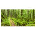 thumbnail image 2 of Sentier Forestier Luxuriant Rivière Columbia - Impression d'Art Mural sur Toile Forestière, 2 of 3