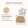 thumbnail image 3 of TERGAYEE Air Fryer Parchment Paper,Circular Perforated Parchment Paper Non-stick Steamer Mat for Baking/Steaming/Cooking with Silicone Paper, 3 of 6