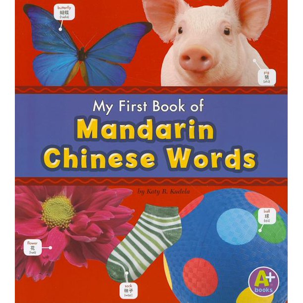 A+ Books Bilingual Picture Dictionaries My First Book of Mandarin