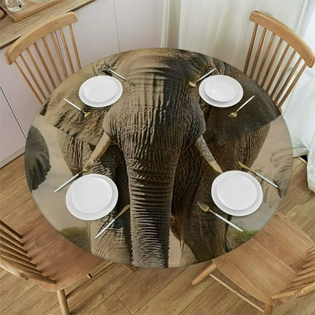 

Patifu Elephants Round Tablecloth Stain-Resistant Washable Indoor Outdoor Restaurant Wedding Party 100% Polyester for Picnic Dining Kitchen Farmhouse with Elastic Edge 46 -50