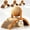 Giant, variant on Cat Scratching Ball, Hardness Upgrade Wobble Ball Cat Scratcher for Indoor,Protects Furniture & Rugs, 360° Rotating Cats Scratching Balls on Stand for Indoor Cat Kittens (Small)