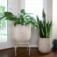 thumbnail image 3 of Flora Bunda 14.5" &11" Outdoors Tree Bark Ceramic Pot ,Set Of 2, 3 of 5