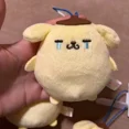 thumbnail image 3 of Muñeco de peluche Sanrio Anime Sad PomPomPurin con diseño de lágrimas de dibujos animados, colgante para mochila, juguete decorativo para niños, regalos, 3 of 5