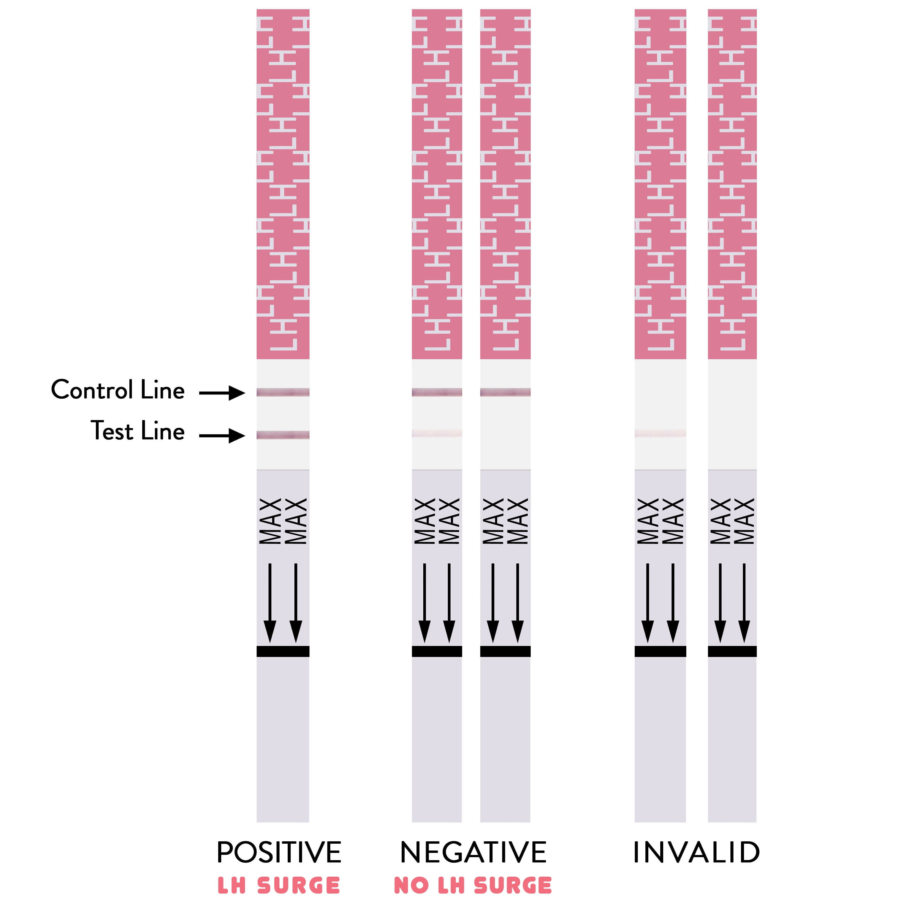 EZ Level 50 Ovulation Test Strips LH Surge Predictor Kit (50 LH ... EZ Level 50 Ovulation Test Strips LH Surge Predictor Kit (50 LH ...