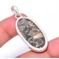 thumbnail image 2 of Turritella Fossil Agate Gemstone 925 Silver Plated Jewelry Pendant 1.95" A325, Valentine's Day Gift, Birthday Gift, Beautiful Jewelry For Woman, 2 of 2