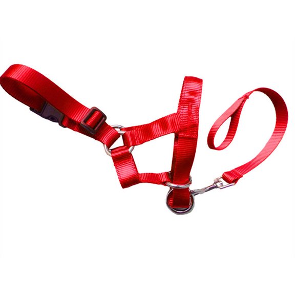 Musuos Dog Head Collar Gentle Stop Pulling Pet Lead Padded Noseband Training Halter