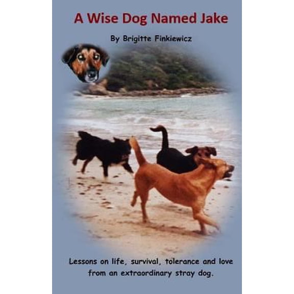 Pre-Owned A Wise Dog Named Jake: Lessons on life, survival, tolerance and love from an extraordinary stray dog (Paperback) 1983808997 9781983808999
