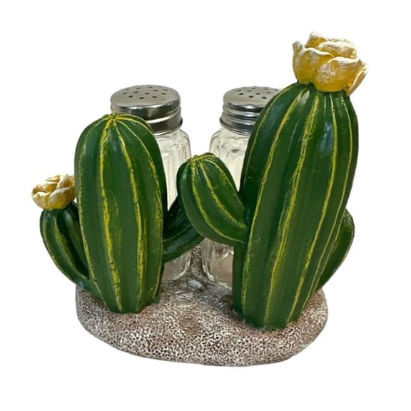 De Leon Collections 14816 Polyresin Southwestern Desert Green Floral Cactus Country Rustic Salt and Pepper Shaker Holder Set
