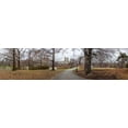 thumbnail image 2 of Frank, Assaf 14x7 Gold Ornate Wood Framed with Double Matting Museum Art Print Titled - Pathway through Central park, New York, 2 of 4