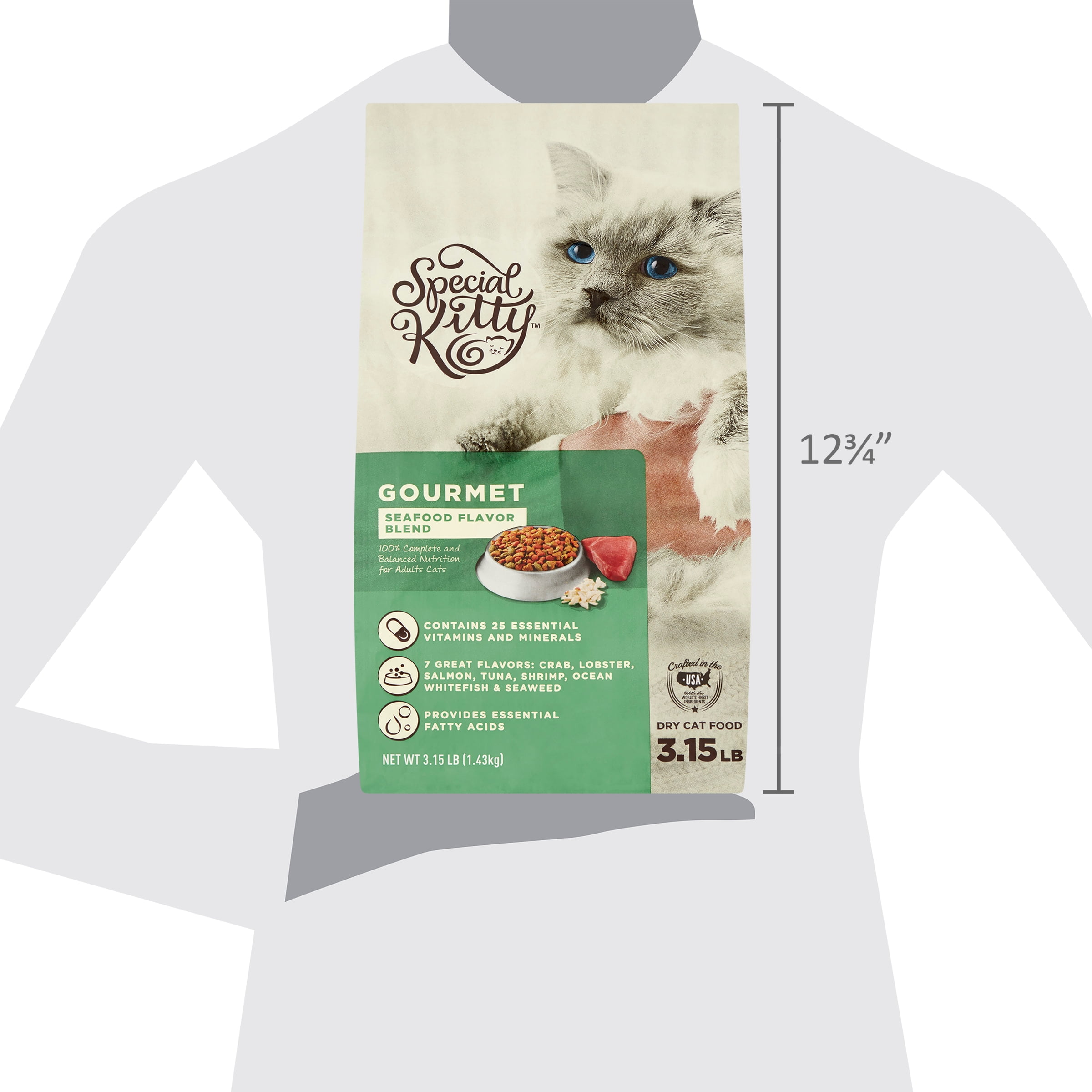 Special Kitty Gourmet Formula Dry Cat Food Seafood Flavor Blend 3.15 lb Walmart