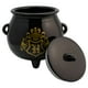 thumbnail image 3 of Galletero de Cerámica Decorativo, Caldero Mágico Harry Potter en 3D con Tapa Hermética y Caja de Regalo, 3 of 7