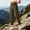 Brown women straight leg pants a1, variant on Women's Straight Leg High Waisted Trousers with Pockets Casual Hiking Ankle Pants Trousers, Brown S