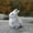 White, variant on Kayannuo Christmas Toys Simulation Easter Plush Rabbit Toy Cute Rabbit Doll Home Decoration Gift