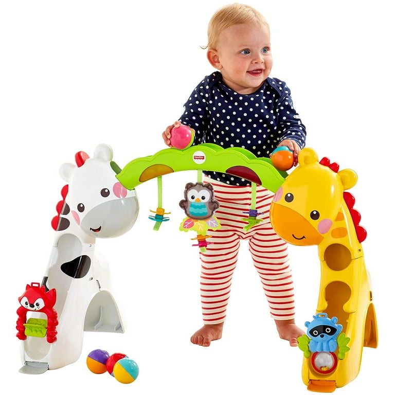 Fisher Price Newborn to Toddler Play Gym