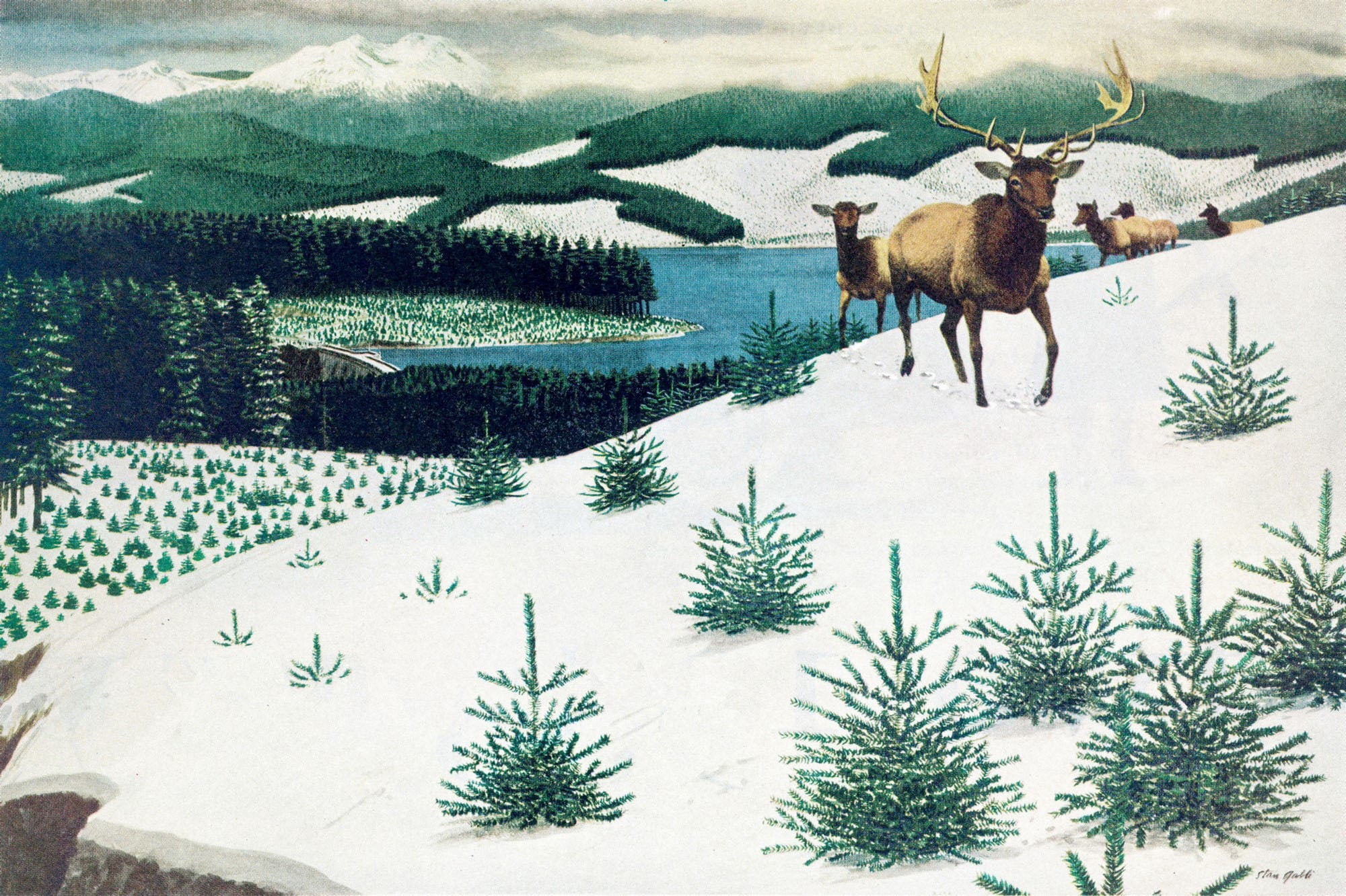 "Elk in Snow" Painting Print on Wrapped Canvas