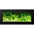 thumbnail image 2 of Hausenflock, Alan 24x11 Black Modern Framed Museum Art Print Titled - Forest Ferns I, 2 of 5