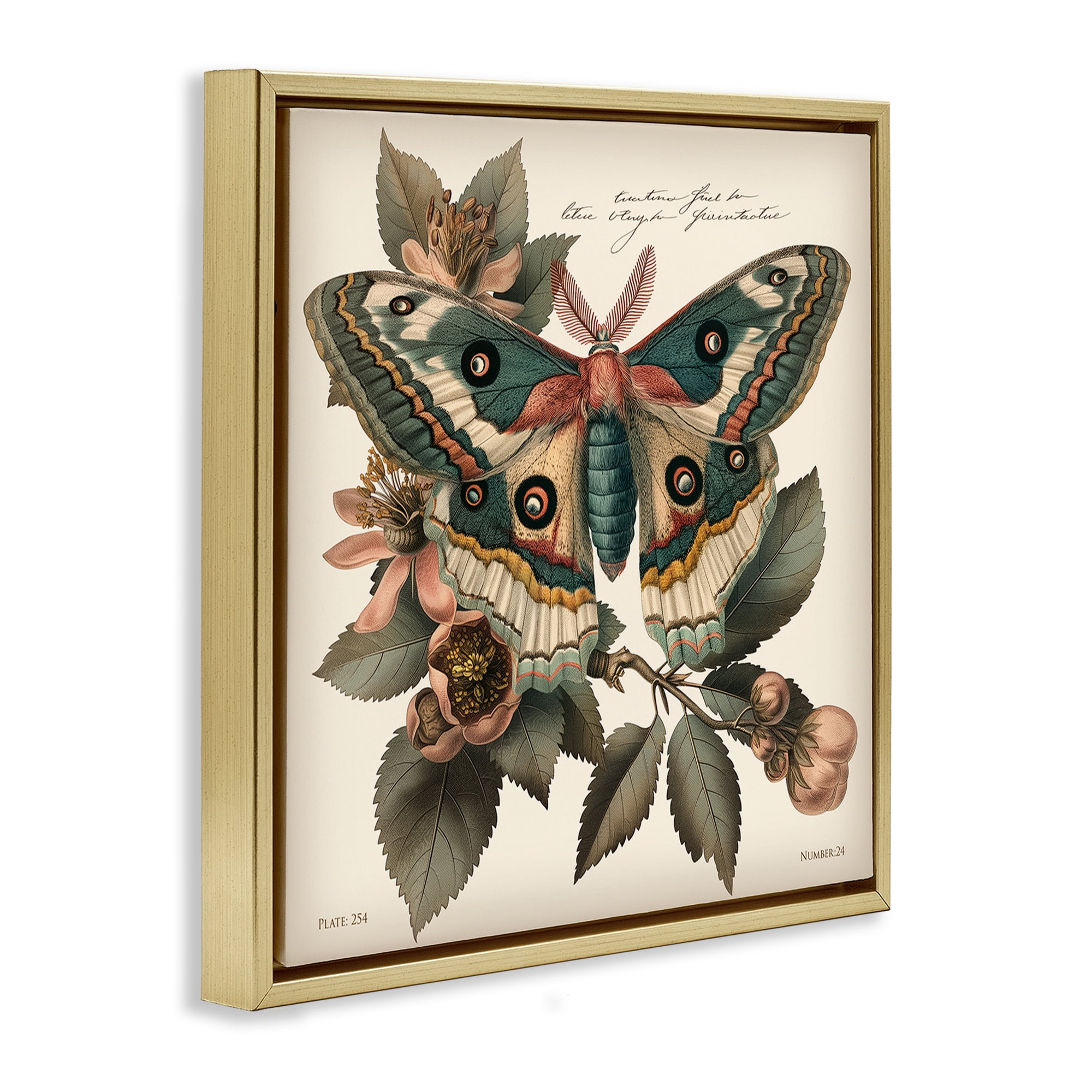 Stupell Industries Green Patterned Moth Animals Painting Gold Floater Framed Canvas Art Print Wall Art, 18 x 18