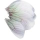 thumbnail image 2 of 10 colgantes de alas de libélula para mujer, aretes colgantes para el cabello Verde, 2 of 9