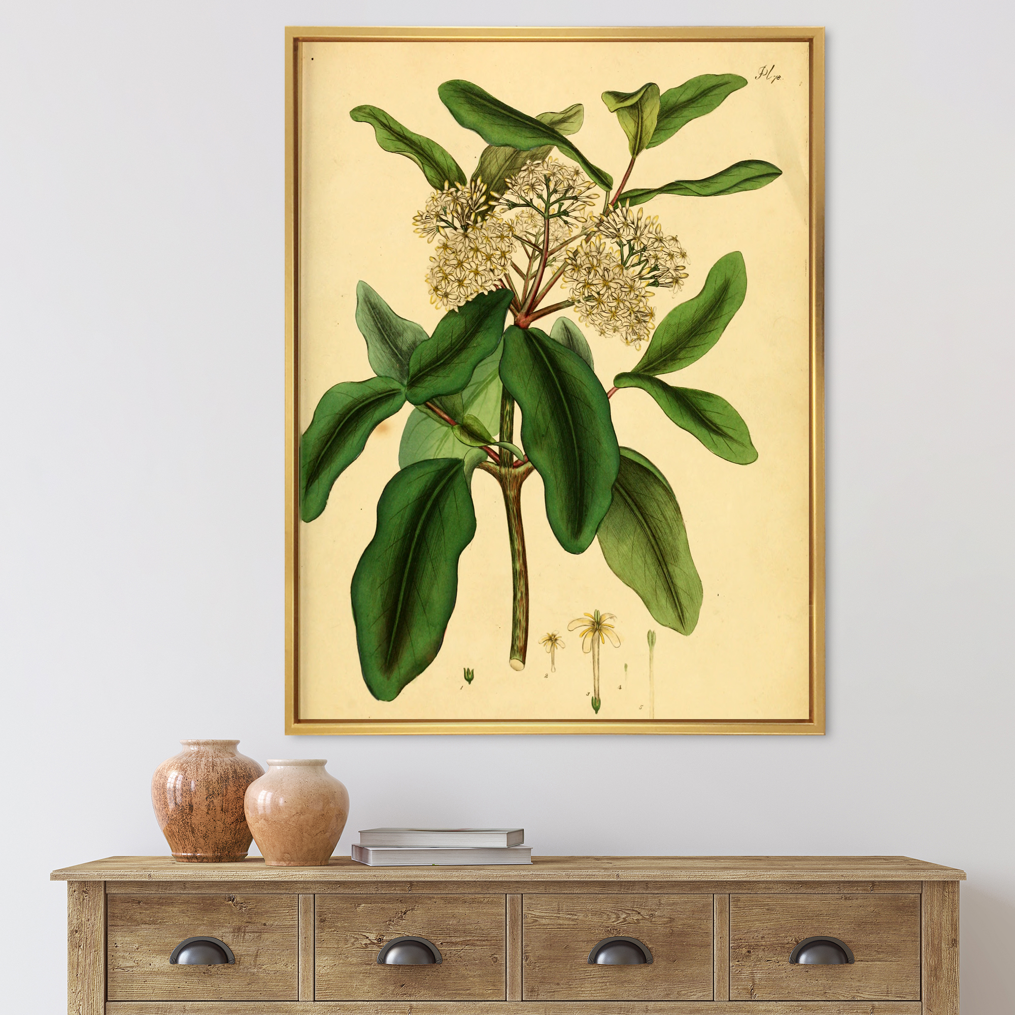 Designart 'Ancient Plant Life I' Traditional Framed Canvas Wall Art Print