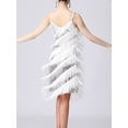 thumbnail image 3 of Doomiva Women's Sequins Tassel Dance 1920s Flapper Cocktail Party Dress Latin Ballroom Dance Dress Silver XXL, 3 of 6