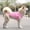 Pink, variant on Pet Vests for Dogs and Cats Pet Tank Top, Easy-On Sleeveless Shirt for Small, Medium & Large Breeds, Perfect for Casual Wear & Warm Days