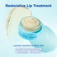 thumbnail image 2 of Tratamiento labial Skinfix Barrier+ Triple Lipid 8 ml, 2 of 7