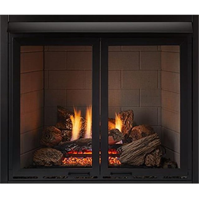Monessen DLR32B 32 in. Cabinet Doors with Screen, Black