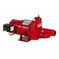 thumbnail image 2 of Red Lion RJC-100 Pompe à Jet Convertible en Fonte de 1ch avec Kit Injecteur (2 Pack), 2 of 6