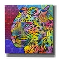 thumbnail image 1 of Epic Graffiti 'Chobe' by Dean Russo, Canvas Wall Art, 18"x18", 1 of 8