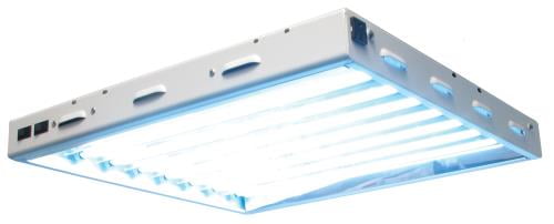 t5 sunblaze 2ft 2 lamp t5 sunblaze 2ft 2 lamp
