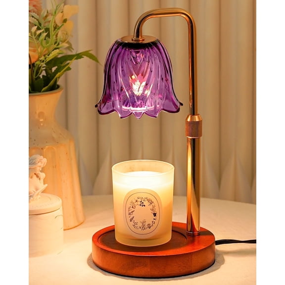 Funistree Candle Warmer Lamp with Timer and Dimmer, Candle Warmer with 2 50W Bulbs for Jar Candles, Gifts for Women Mom Girlfriend, House Warming Gifts Home Decor