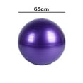 thumbnail image 2 of Ficarrico Pelota de estabilidad para ejercicio de fuerza estática con bomba, 2 of 5