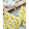 thumbnail image 2 of Outdoor Throw Pillow Cover Retro Summer Yellow Lemon Waterproof Cushion Covers 2 Pack Tropical Fruits Pillow Cases Home Decoration for Patio Garden Couch Sofa, 2 of 6