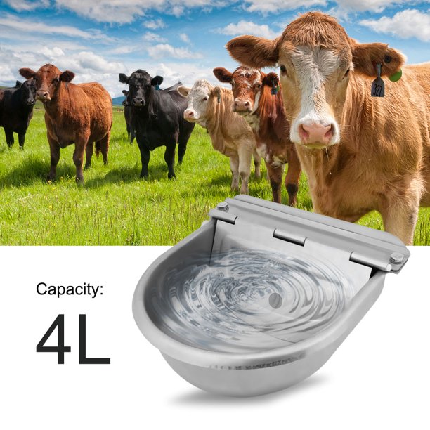 Ccdes Stainless Steel Water Trough Bowl Feeder Feeding Food Water Dish