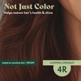 thumbnail image 4 of Tinte para el cabello Herbatint Permanent 4R Copper Chestnut 170 ml para mujer, 4 of 8