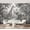 Color 1, variant on Wall Mural Peel and Stick Monochrome Jungle Elephant Giraffe Zebra Leopard Self-Adhesive Wallpaper Removable Wall Decal Wall Sticker Home Decor for Living Room Bedroom 69"x96"