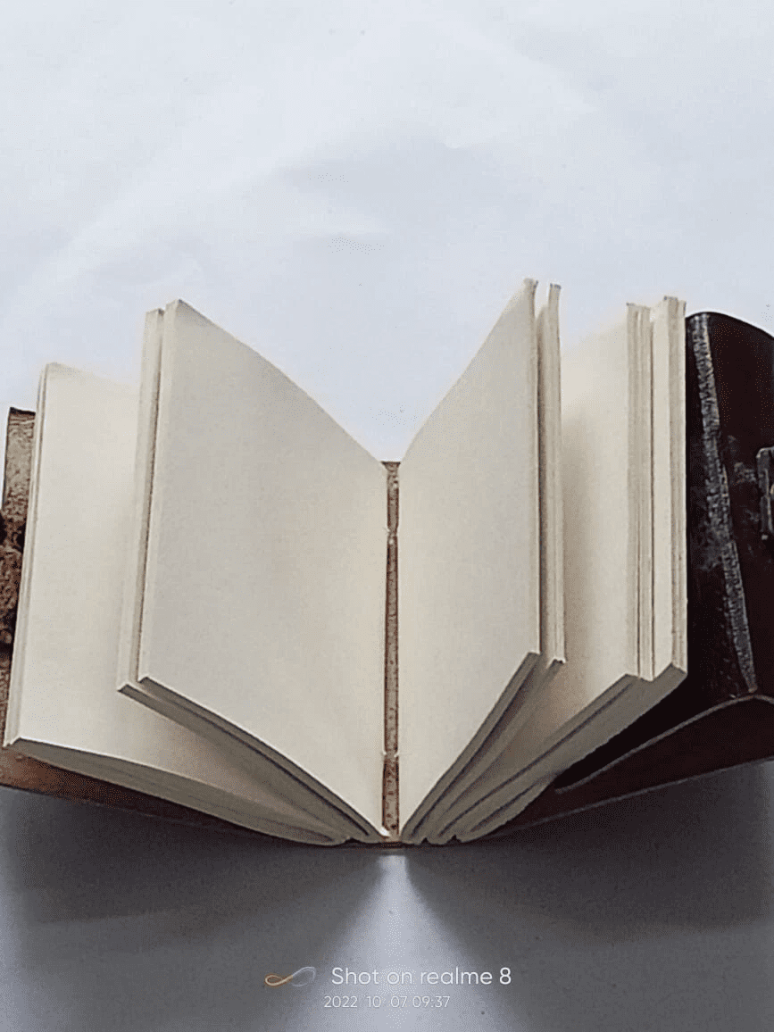 Leather Tree of Life Diary & Journal – Blank Notebook, Unlined Sketchbook for Travel Diary Creative Writing, and Artistic For Gift