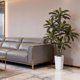 thumbnail image 2 of QinaQin Árbol artificial Dracaena de 4, 5 o 6 pies, hojas real touch y troncos multitonales, con maceta blanca alta para decoración interior, 2 of 8