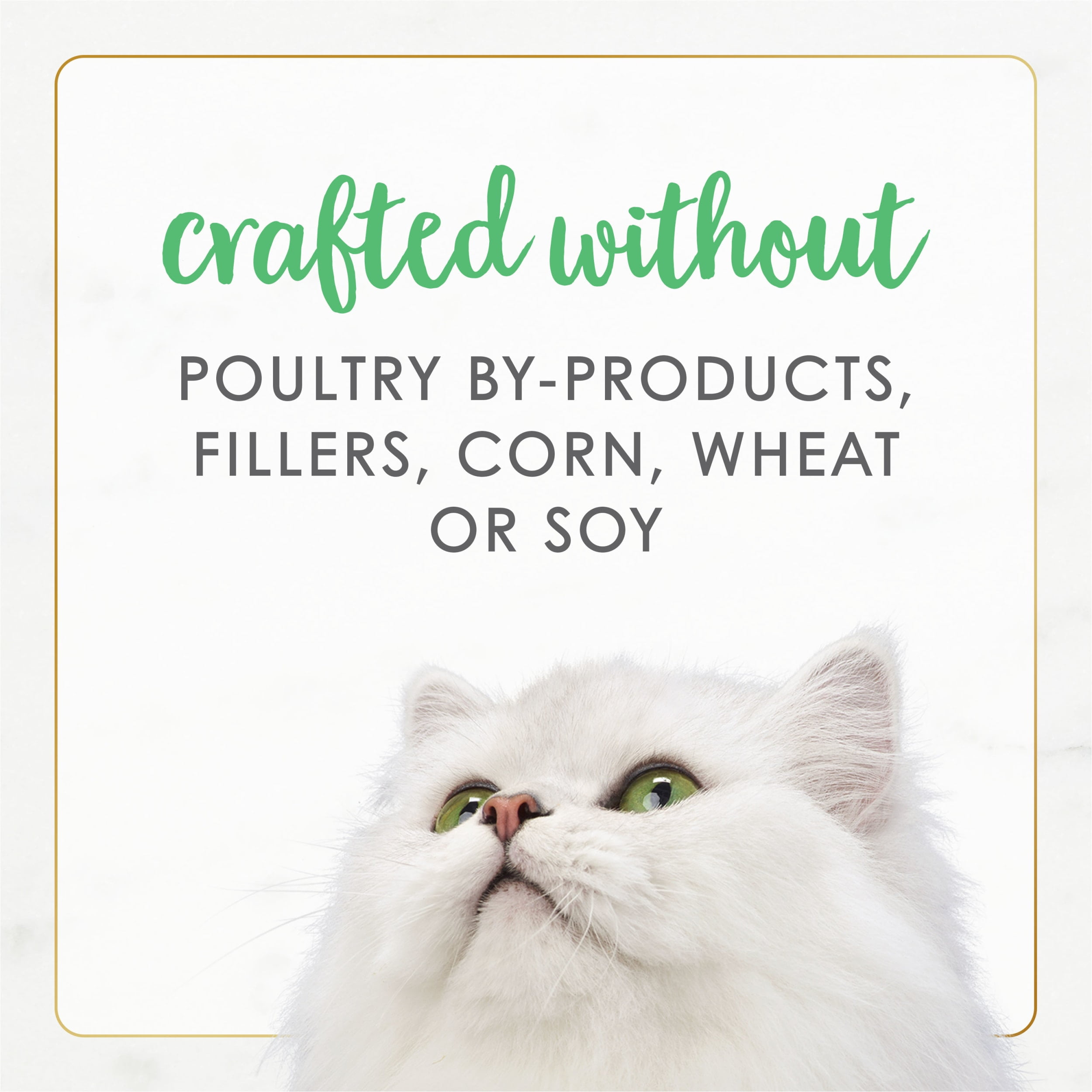 Purina Fancy Feast Gourmet Naturals Pate Wet Cat Food Whitemeat Chicken 3 oz Cans 12 Pack Walmart