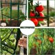 thumbnail image 2 of Conectores de enrejado de plantas de plástico ajustables de 70 piezas - 11 mm, 2 of 5