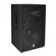 thumbnail image 1 of Bafle Pasivo 15 Pulgadas 2 Vias 500 Watts Jbl Jrx215 JBL CHJRX215, 1 of 4