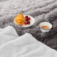 thumbnail image 2 of MEUDYT Heated Blanket for Adult, Soft Faux Fur & Sherpa Electric Blanket, Fast-Heating with 10 Heating Levels & 5 Options Auto off, 50.1"x 60.1", Gray, 2 of 7