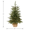 thumbnail image 5 of Árbol de Navidad National Tree Company de 90 cm con luces y base, 5 of 5