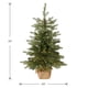 thumbnail image 5 of Árbol de Navidad National Tree Company de 90 cm con luces y base, 5 of 5